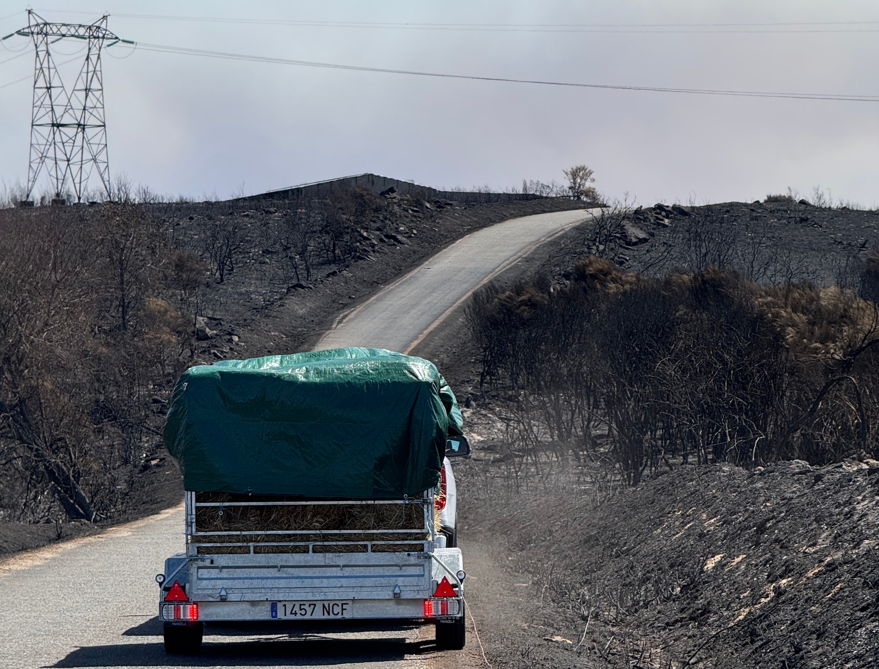 Laura heading through the charred countryside. License valid for earned editorial, press releases, press kits. All non-broadcast digital and online media Region: Global. This content is solely for editorial use and for providing individual users with information. Any storage in databases, or any distribution to third parties within the scope of commercial use, or for commercial use is permitted with written consent from Ford in Europe GmbH only.